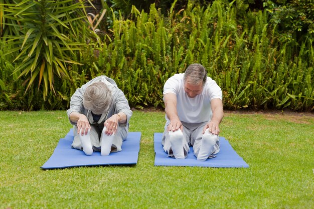 exercises for seniors